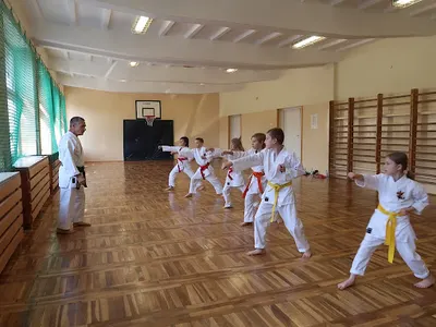 Goju-Ryu Karate-Do